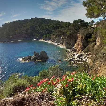 公寓 Proche Port Et Plages, Piscine *