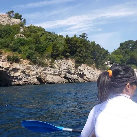 公寓 Proche Port Et Plages, Piscine 耶尔