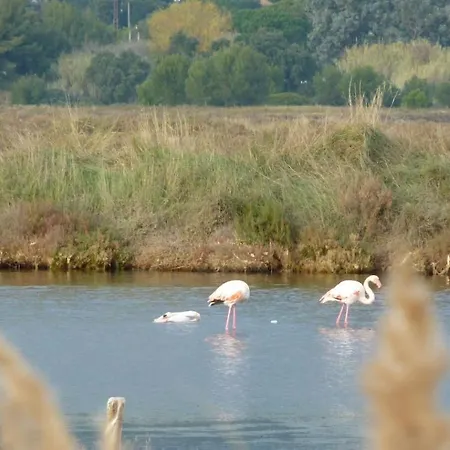 Proche Port Et Plages, Piscine
