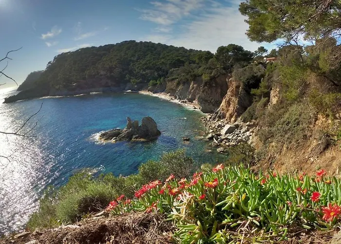 Apartment Proche Port Et Plages, Piscine *