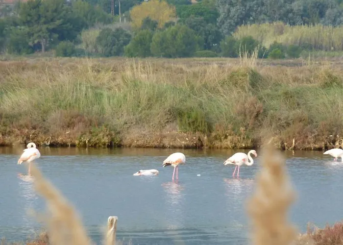 Proche Port Et Plages, Piscine